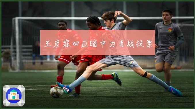 王彦霖回应暗中为肖战投票