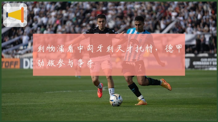 利物浦看中匈牙利天才托特，德甲劲旅参与争夺