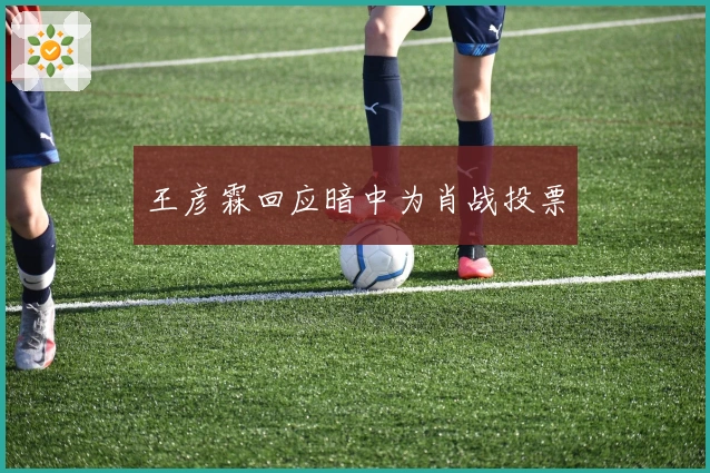 王彦霖回应暗中为肖战投票