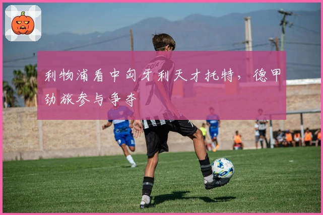 利物浦看中匈牙利天才托特，德甲劲旅参与争夺